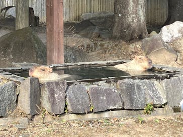 横浜市立金沢動物園に投稿された画像（2023/12/28）