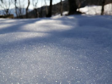 おじろスキー場に投稿された画像（2023/12/28）