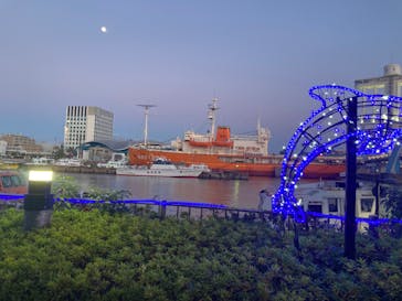 名古屋港水族館に投稿された画像（2023/12/28）