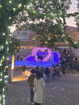 名古屋港水族館に投稿された画像（2023/12/28）