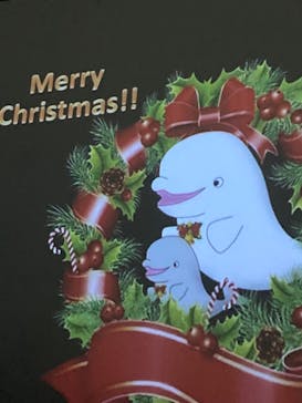 名古屋港水族館に投稿された画像（2023/12/28）