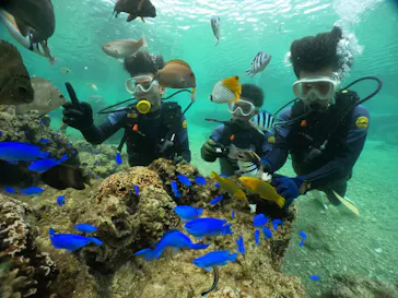 武藤潜水に投稿された画像（2023/12/28）