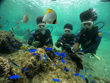 武藤潜水に投稿された画像（2023/12/28）