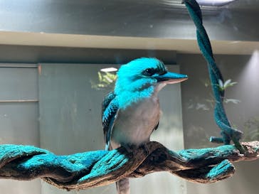 カワスイ 川崎⽔族館に投稿された画像（2023/12/28）