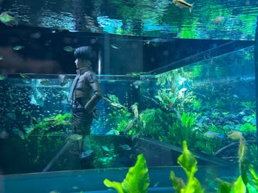 カワスイ 川崎⽔族館に投稿された画像（2023/12/28）