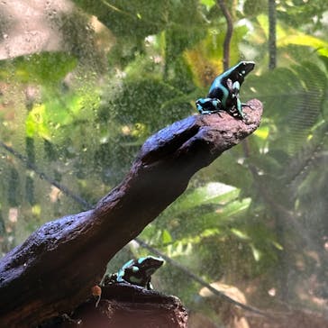 カワスイ 川崎⽔族館に投稿された画像（2023/12/28）