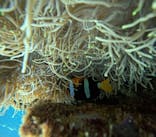 マリンクラブジジに投稿された画像（2023/12/28）