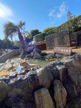 伊豆シャボテン動物公園に投稿された画像（2023/12/28）