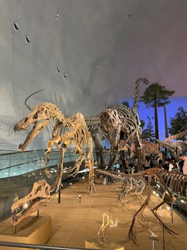 福井県立恐竜博物館に投稿された画像（2023/12/28）