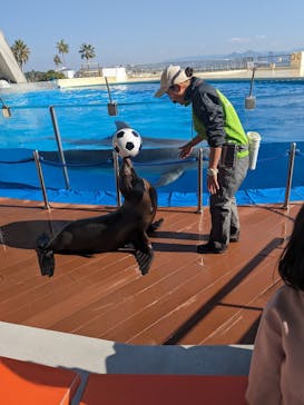 マリンワールド海の中道に投稿された画像（2023/12/28）