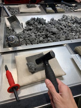 福井県立恐竜博物館に投稿された画像（2023/12/28）