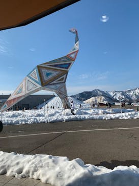 福井県立恐竜博物館に投稿された画像（2023/12/28）