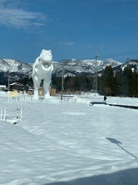 福井県立恐竜博物館に投稿された画像（2023/12/28）