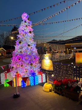 さがみ湖MORI MORIに投稿された画像（2023/12/28）