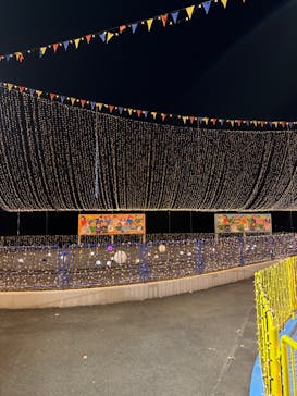 さがみ湖MORI MORIに投稿された画像（2023/12/28）