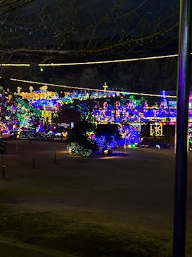 伊豆ぐらんぱる公園に投稿された画像（2023/12/28）