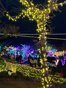 伊豆ぐらんぱる公園に投稿された画像（2023/12/28）