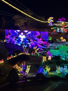 伊豆ぐらんぱる公園に投稿された画像（2023/12/28）