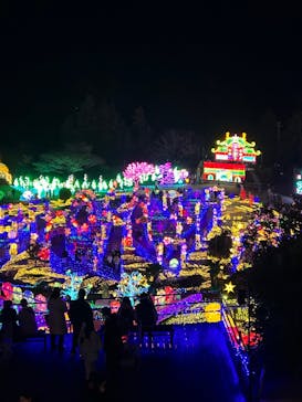 伊豆ぐらんぱる公園に投稿された画像（2023/12/28）