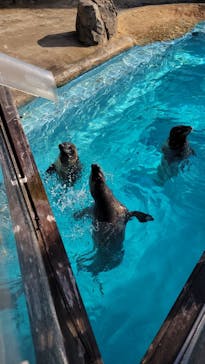 マリンワールド海の中道に投稿された画像（2023/12/28）