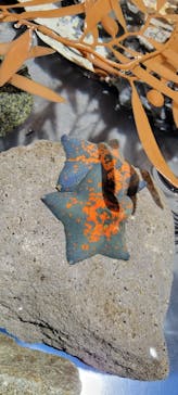 マリンワールド海の中道に投稿された画像（2023/12/28）