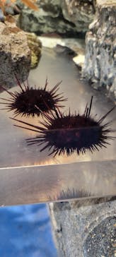 マリンワールド海の中道に投稿された画像（2023/12/28）