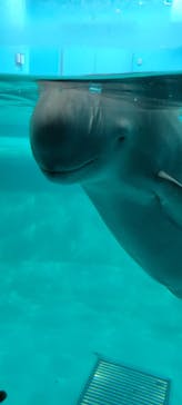 マリンワールド海の中道に投稿された画像（2023/12/28）