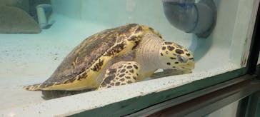 マリンワールド海の中道に投稿された画像（2023/12/28）