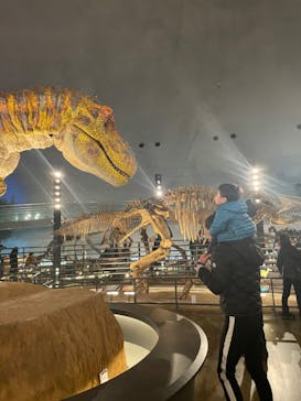 福井県立恐竜博物館に投稿された画像（2023/12/28）