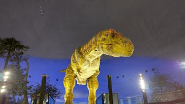 福井県立恐竜博物館に投稿された画像（2023/12/28）