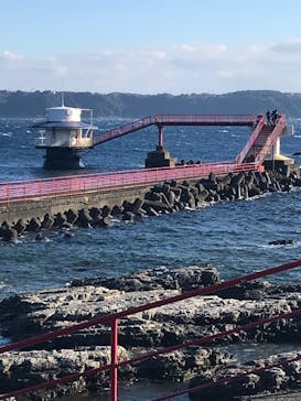 串本海中公園水族館に投稿された画像（2023/12/28）