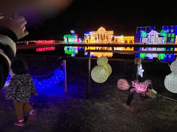 鹿児島イルミナージュに投稿された画像（2023/12/28）