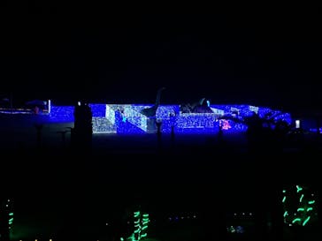 鹿児島イルミナージュに投稿された画像（2023/12/28）