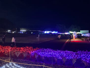 鹿児島イルミナージュに投稿された画像（2023/12/28）