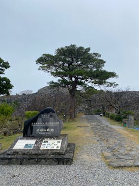 今帰仁城跡に投稿された画像（2023/12/28）