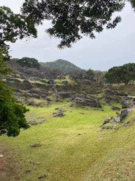 今帰仁城跡に投稿された画像（2023/12/28）