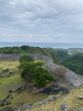 今帰仁城跡に投稿された画像（2023/12/28）