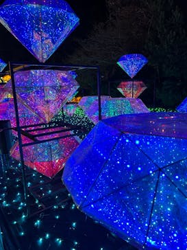 伊豆ぐらんぱる公園に投稿された画像（2023/12/28）