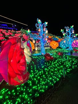 伊豆ぐらんぱる公園に投稿された画像（2023/12/28）