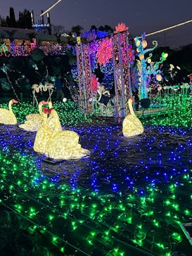 伊豆ぐらんぱる公園に投稿された画像（2023/12/28）