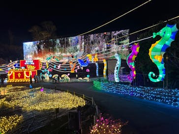 伊豆ぐらんぱる公園に投稿された画像（2023/12/28）