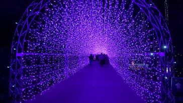 江の島シーキャンドルに投稿された画像（2023/12/28）