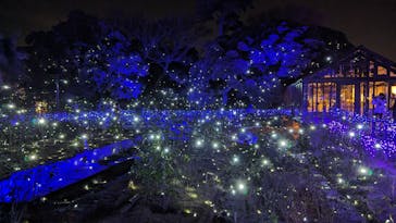 江の島シーキャンドルに投稿された画像（2023/12/28）