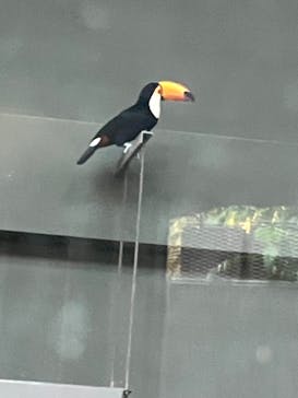 カワスイ 川崎⽔族館に投稿された画像（2023/12/28）