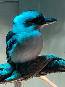 カワスイ 川崎⽔族館に投稿された画像（2023/12/28）