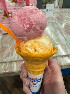 ニューサンピア埼玉おごせに投稿された画像（2023/12/28）