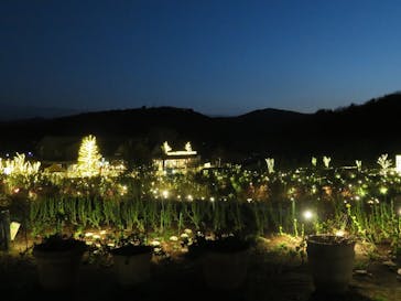 いばらきフラワーパークに投稿された画像（2023/12/28）