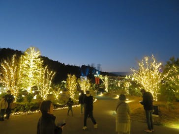 いばらきフラワーパークに投稿された画像（2023/12/28）