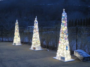 いばらきフラワーパークに投稿された画像（2023/12/28）