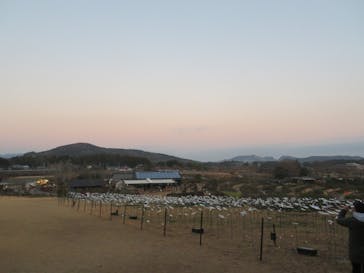 いばらきフラワーパークに投稿された画像（2023/12/28）